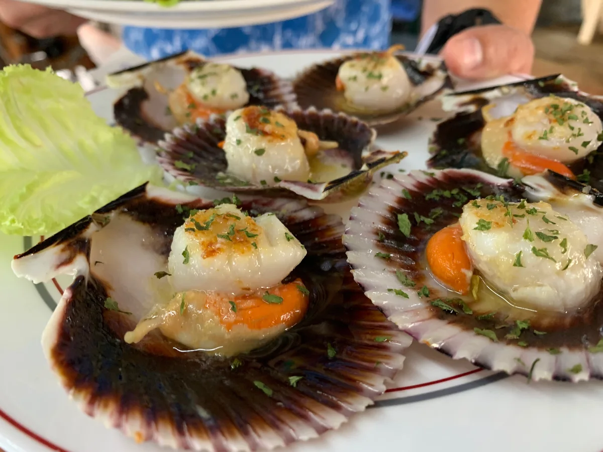 Vieiras a la plancha